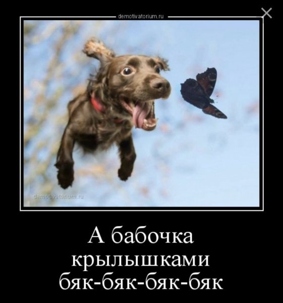 )))))