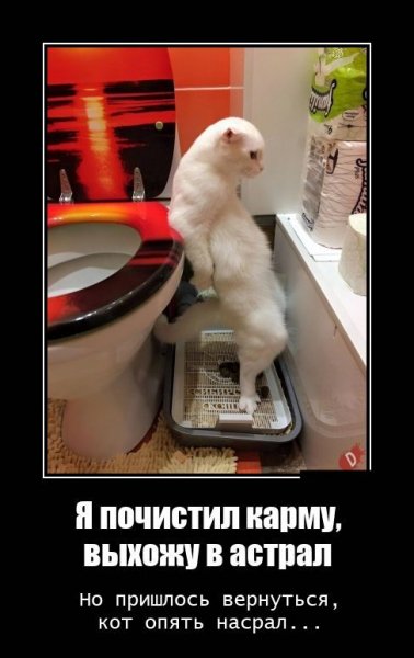 picture_376243810