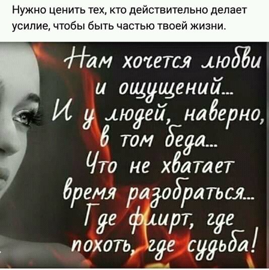 FB IMG 15393294933659905