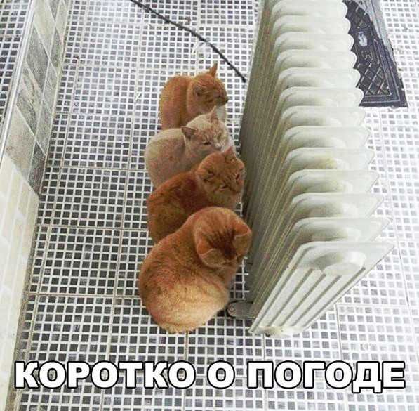 )))))))