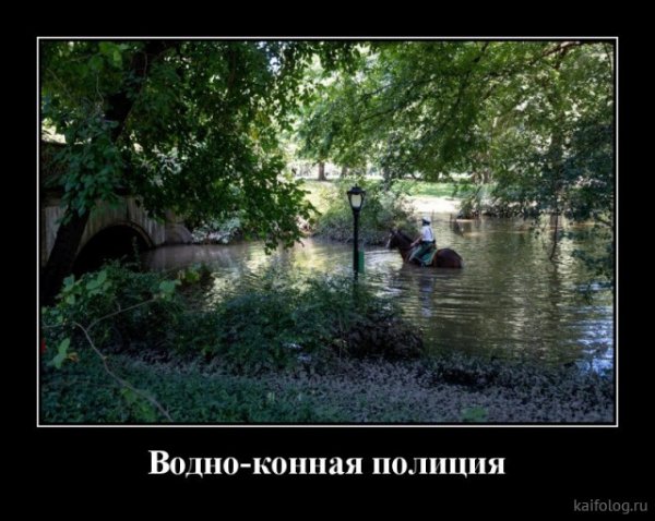 picture_378930013