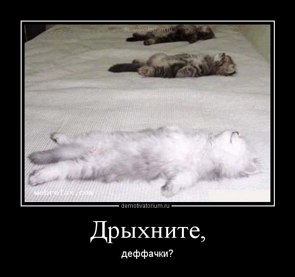 pics