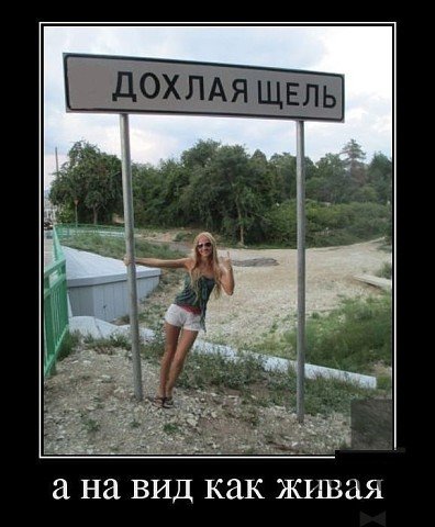 Image (3)- (1)