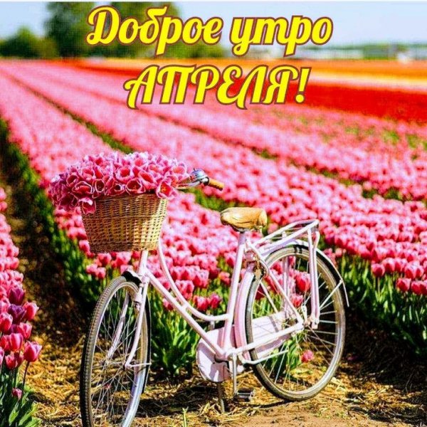 26f9b5c2f6fa03694a6cc20c4dabd970