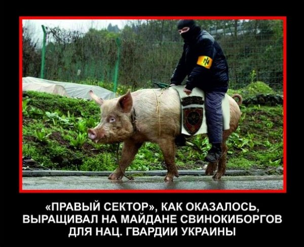 правосеки-майданутые