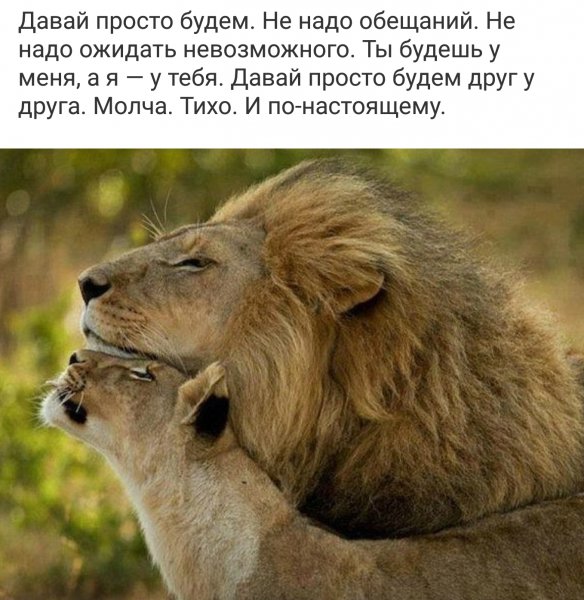 f6c806a6d7675de4cdcedb