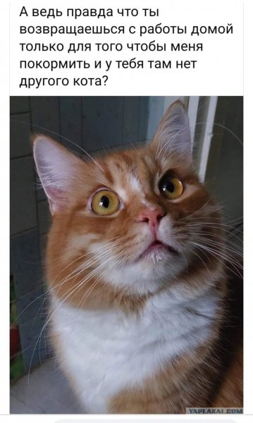 А???