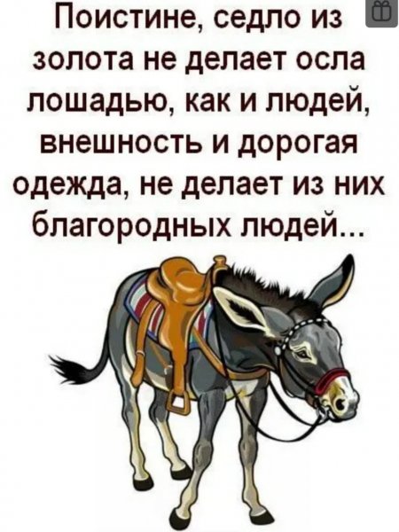 IMG-20260428-WA0265