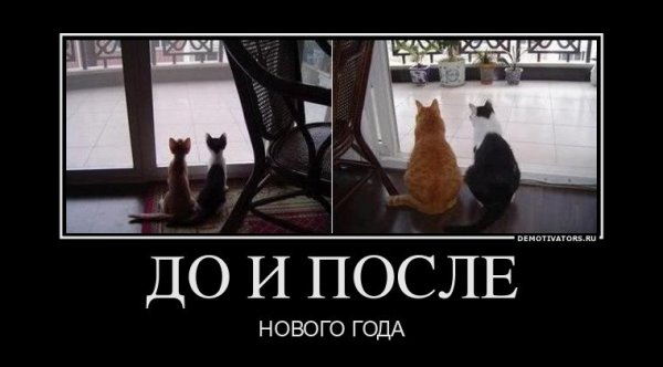 До и после