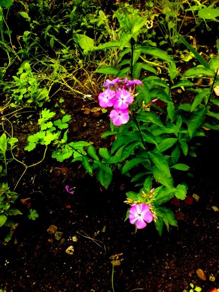 IMG 20160811 152905