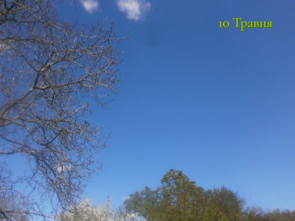 10 Травня