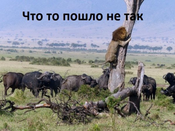Images 8836