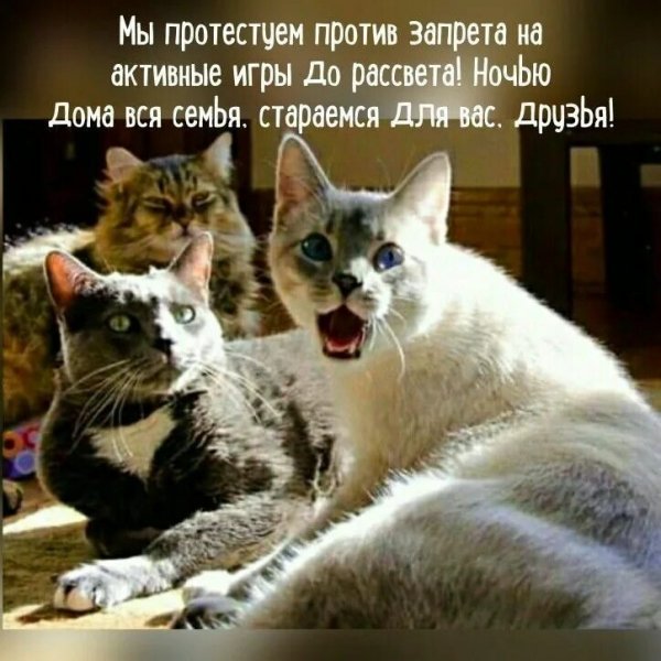 Да! ))