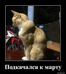 pics