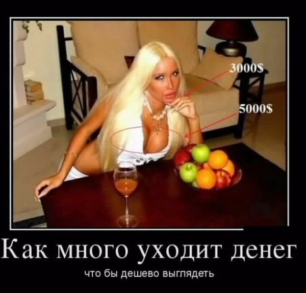 picture_233742632