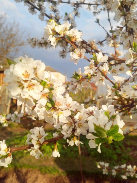 picture_97984376