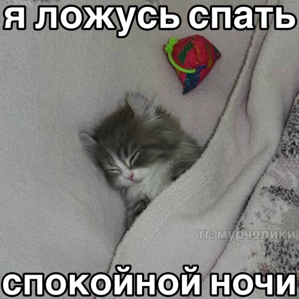 picture_412869470