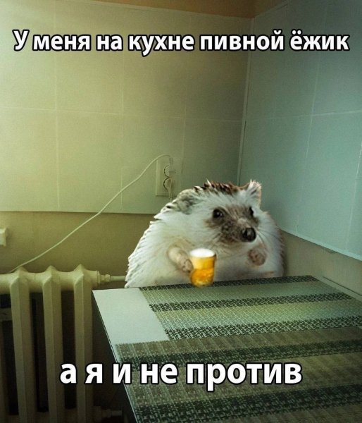 picture_412949515