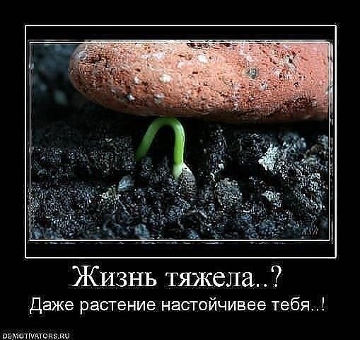Да!!!
