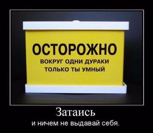 Затаись