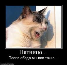 pics