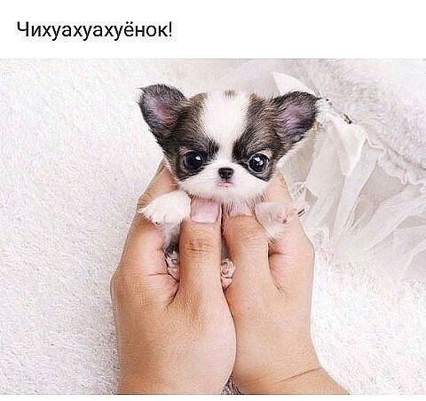 IMG 20181203 224855