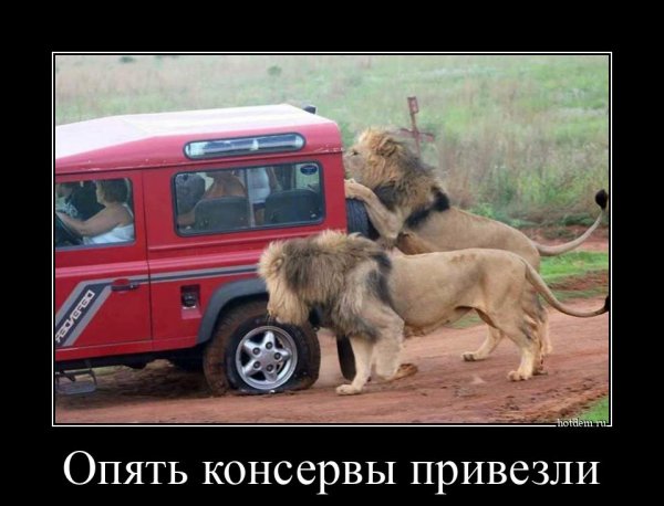 ))))))