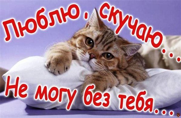 Люблю,скучаю