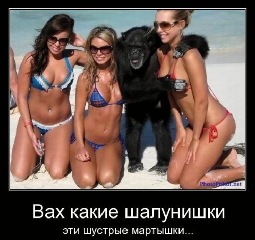 demotivator