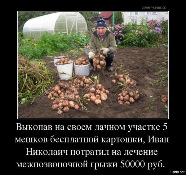 Опаньки!