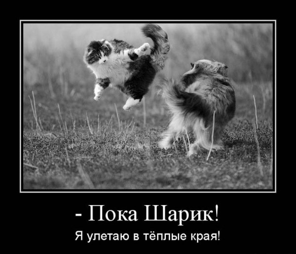 В теплые края!