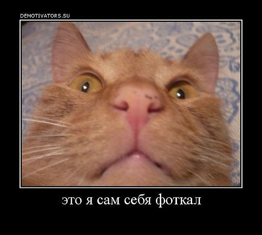 pics