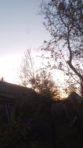 picture_411934149
