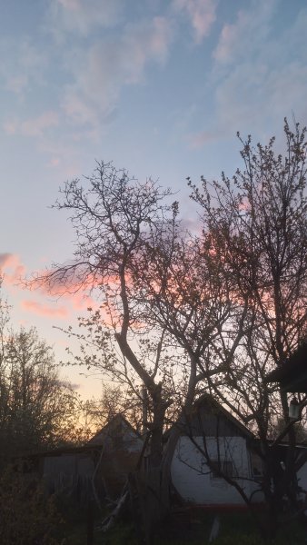 picture_411605617
