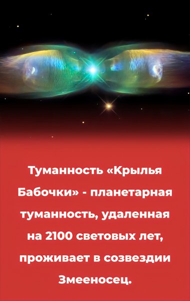 -244