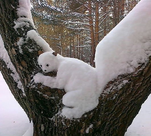 Зверь 03