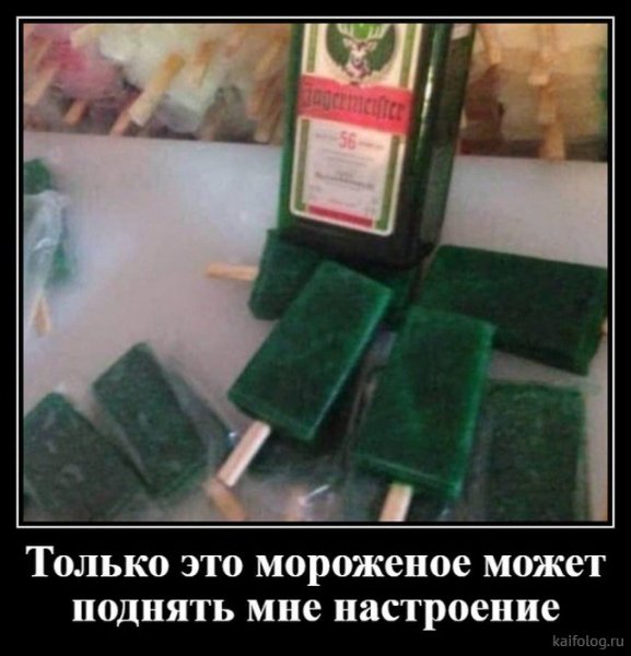 picture_379875656