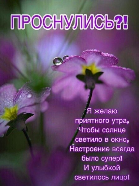 e729484590df052329ff8298e2