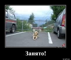 pics