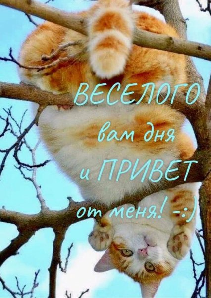 FB IMG 1607063072099