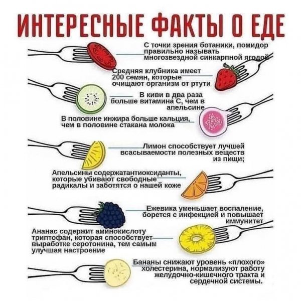 Интересные факты о еде