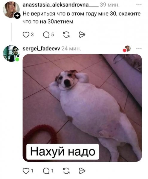 Приколы-для-тридцатилетних-собака--