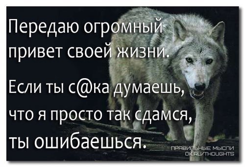 picture_209067290