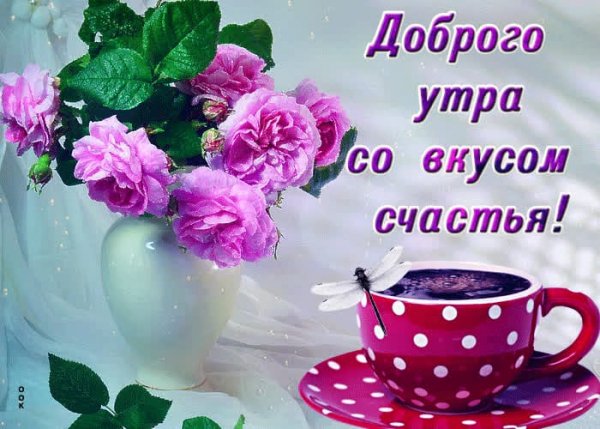 IMG-20220515-WA0002