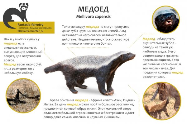 Медоед