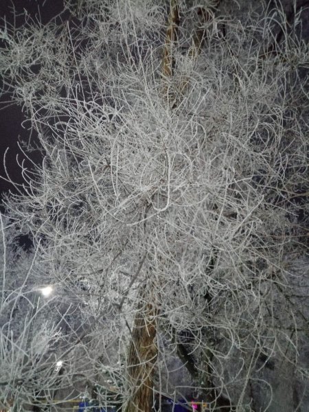 picture_404920706