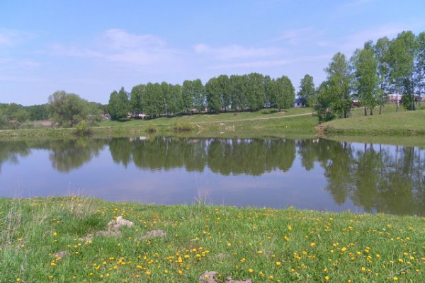getImage7866