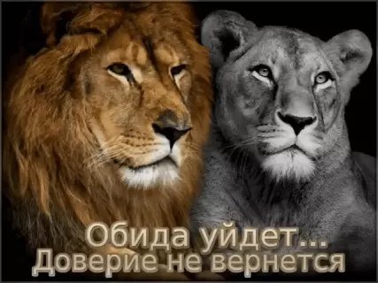 picture_210117525