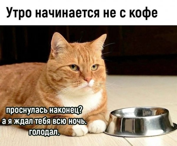 Голодал