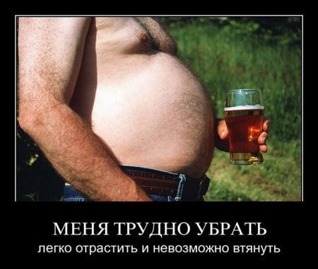 picture_377226867